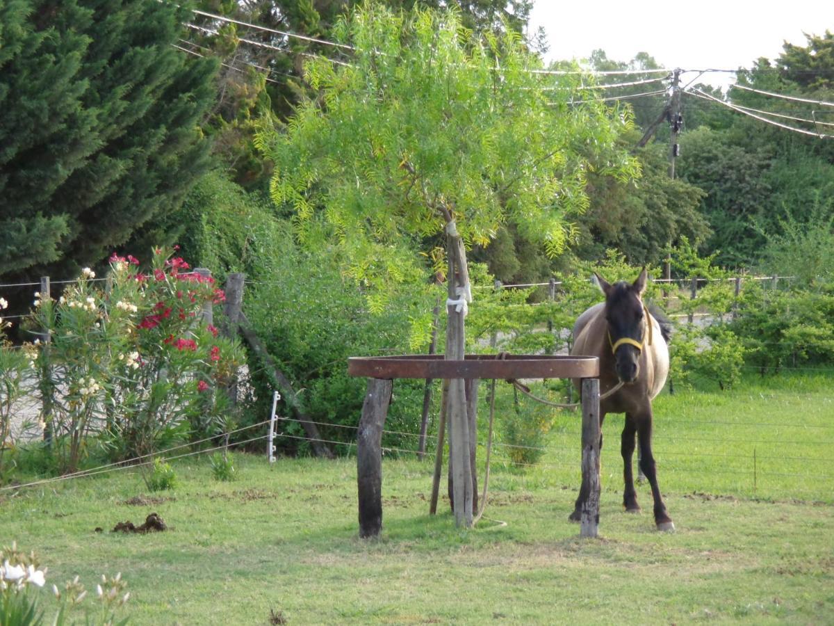 El Sendero - Gueiraldes B&B San Antonio de Areco Exterior photo