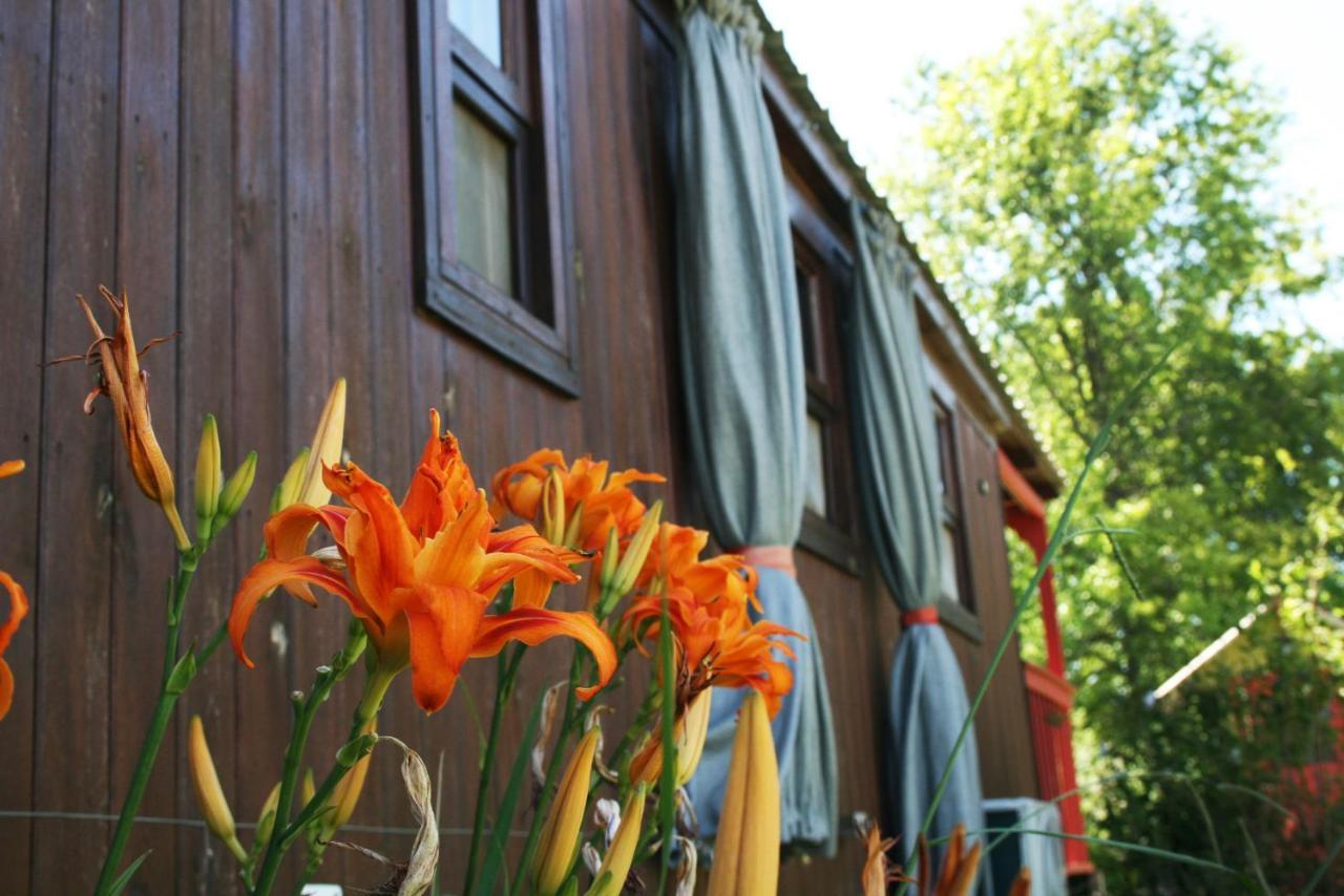 El Sendero - Gueiraldes B&B San Antonio de Areco Exterior photo